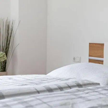Spacious In With Garden Apartament